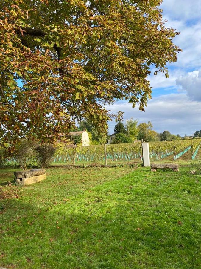 Le Jardin Dans Les Vignes Bed and Breakfast Barsac  Exterior foto