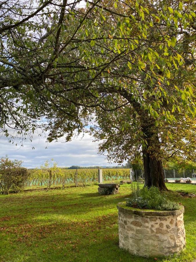 Le Jardin Dans Les Vignes Bed and Breakfast Barsac  Exterior foto