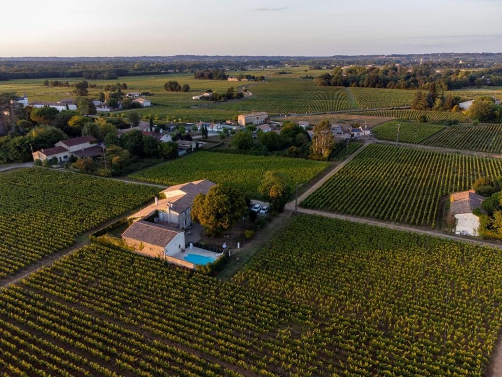 Le Jardin Dans Les Vignes Bed and Breakfast Barsac  Exterior foto